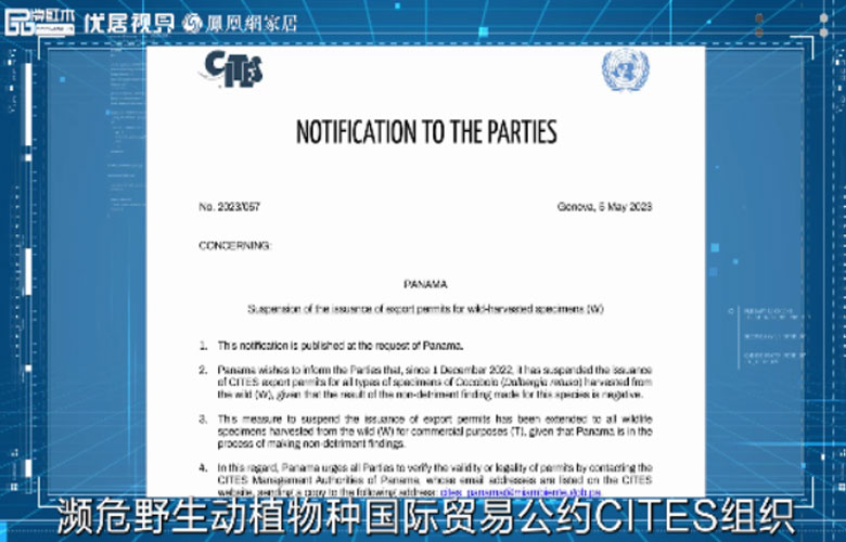 微凹黃檀新聞將迎漲價潮，優(yōu)質(zhì)紅木市場前景可期